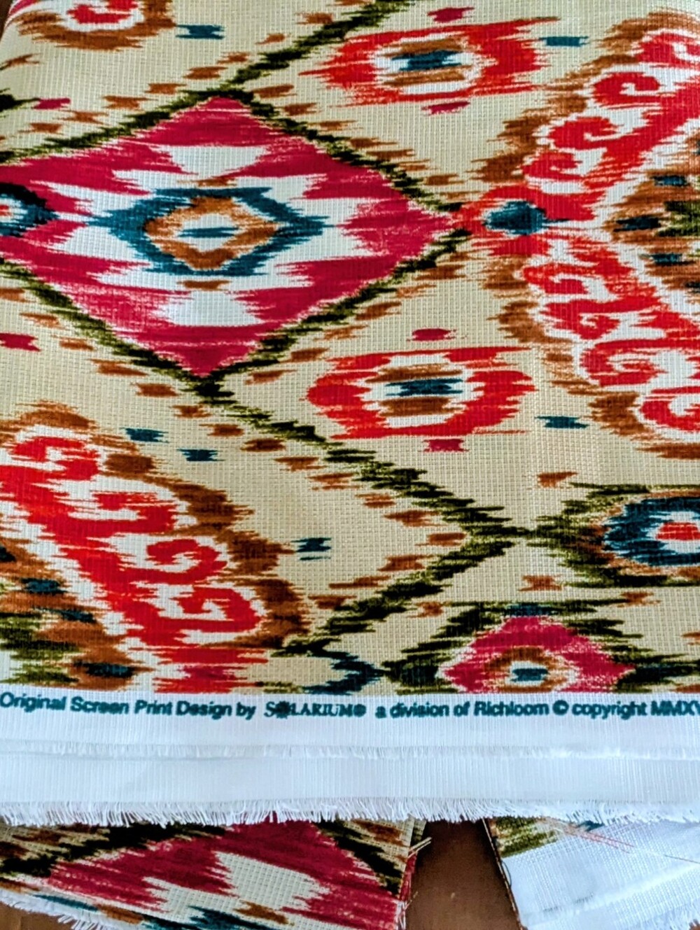 Solarium Richloom Outdoor Screen Print Ikat Fabric 54" x 80" (2.2 yards)